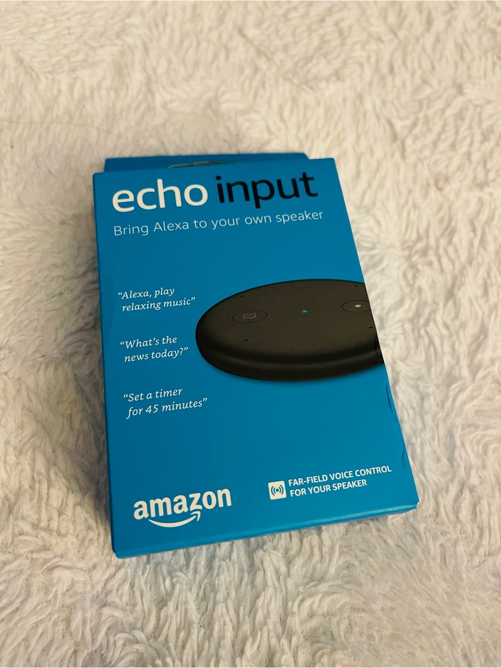 Amazon Alexa / Echo Input